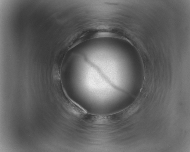 X0000071780384200607071436