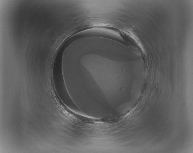 X0000071780385200607071435