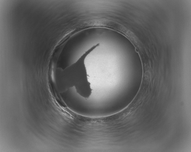 X0000071780386200607071435