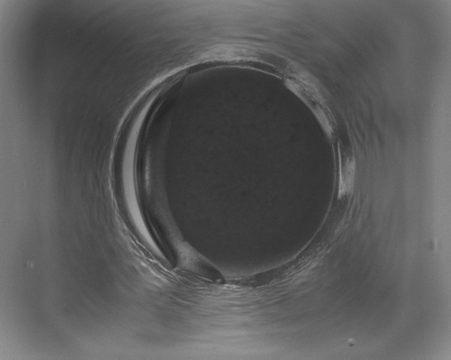 X0000071780387200607071435