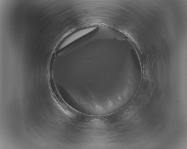 X0000071780390200607071435