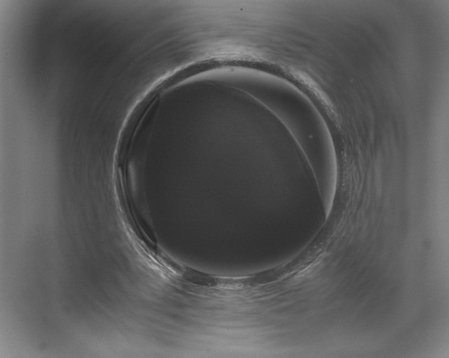 X0000071780391200607071435