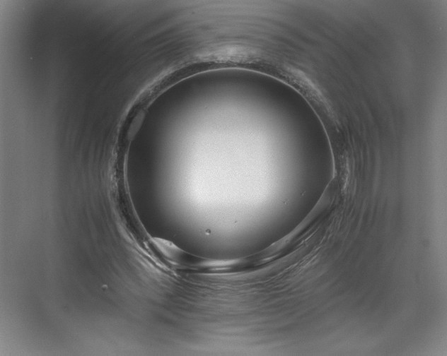 X0000071780392200607071435