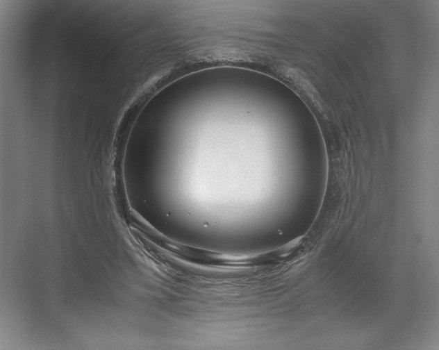 X0000071780395200607071435