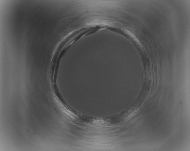 X0000071780399200607071435