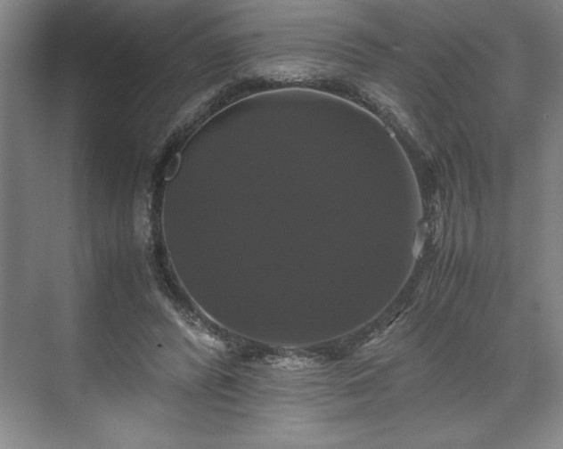 X0000071780400200607071435