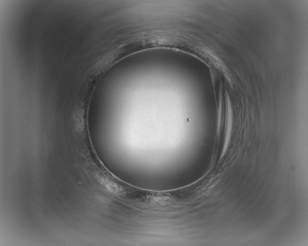 X0000071780401200607071435