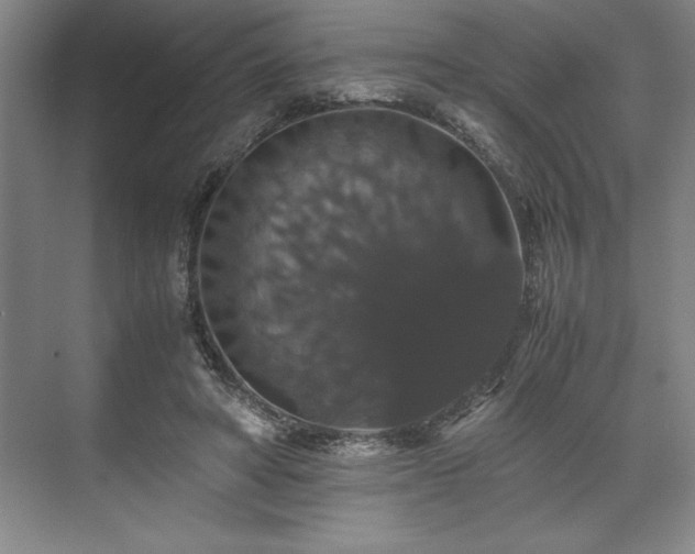 X0000071780402200607071435