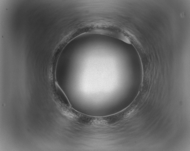 X0000071780403200607071435