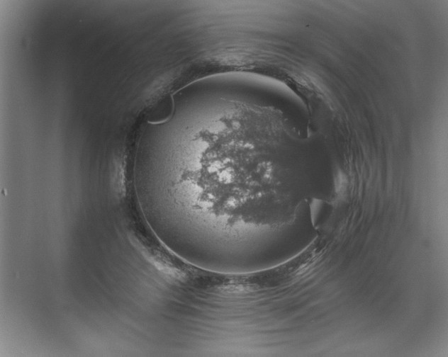 X0000071780404200607071435