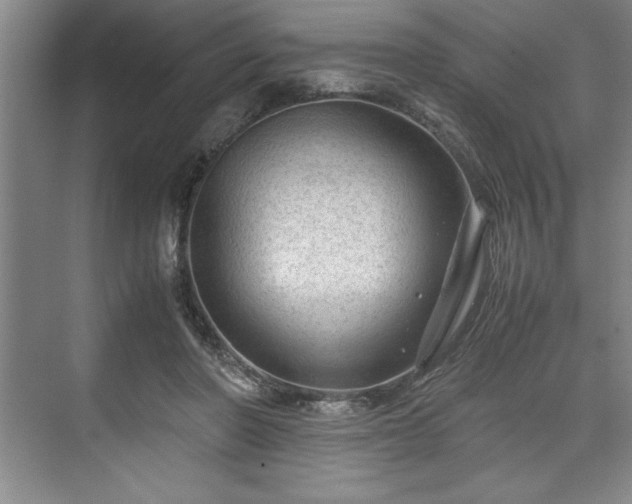 X0000071780406200607071435