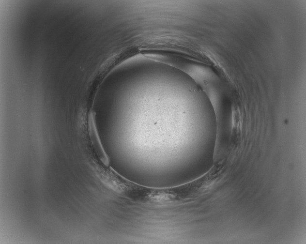 X0000071780407200607071435