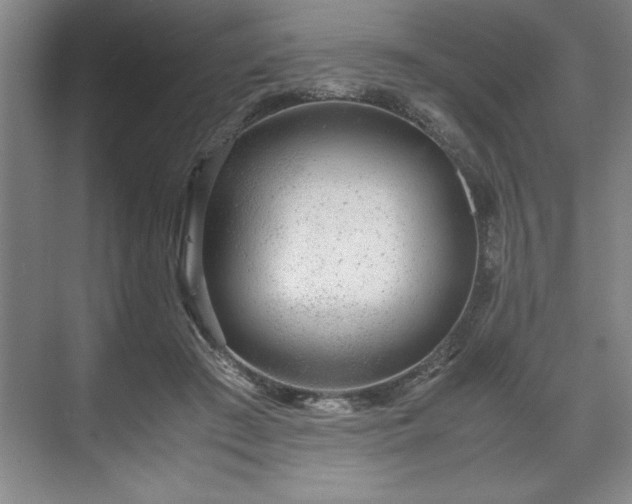 X0000071780409200607071435