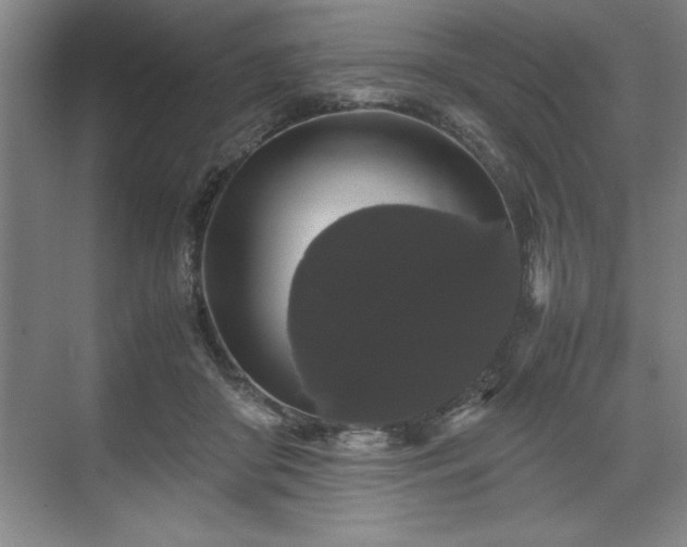 X0000071780410200607071435