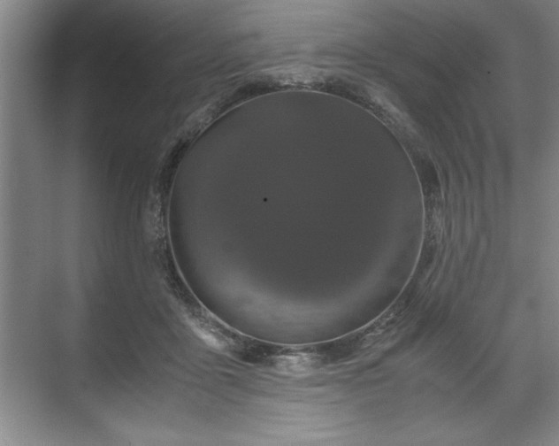 X0000071780411200607071435