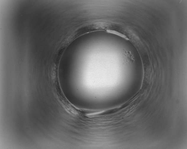 X0000071780413200607071435