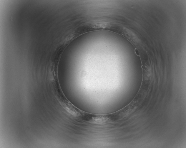 X0000071780414200607071435