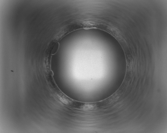 X0000071780418200607071435