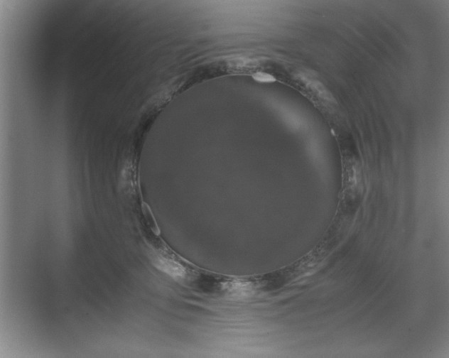 X0000071780419200607071435