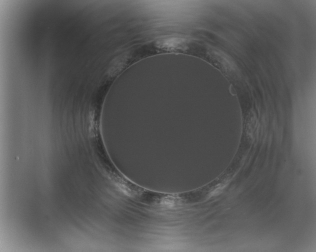 X0000071780420200607071435