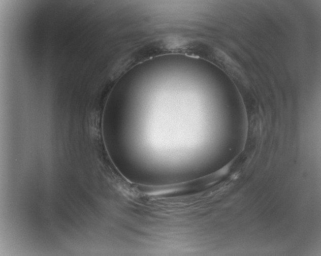 X0000071780421200607071435