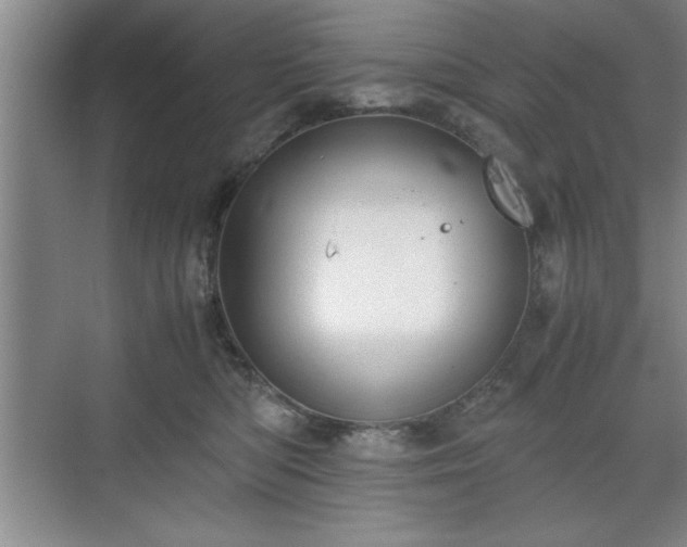 X0000071780422200607071435