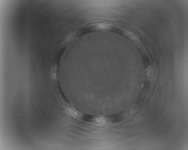 X0000071780423200607071435