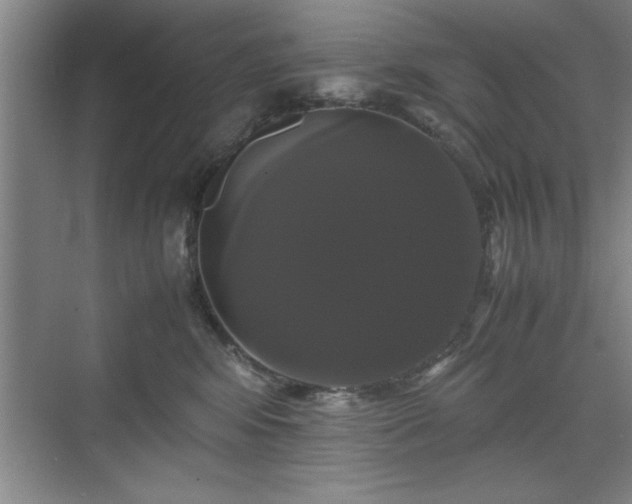 X0000071780424200607071435