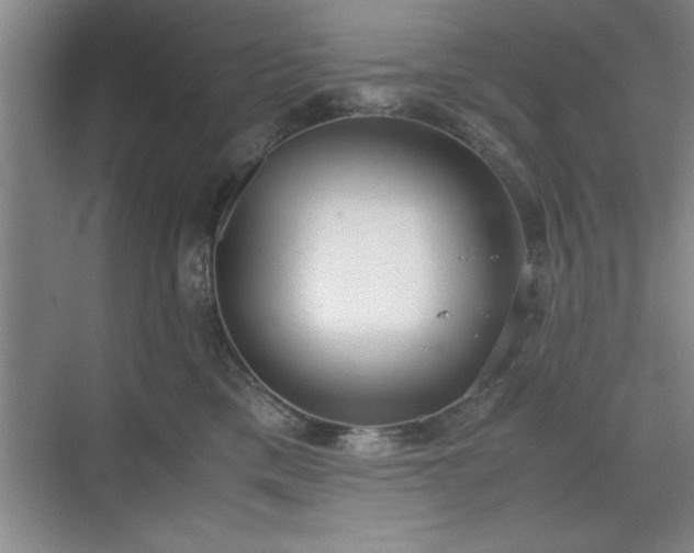 X0000071780425200607071435