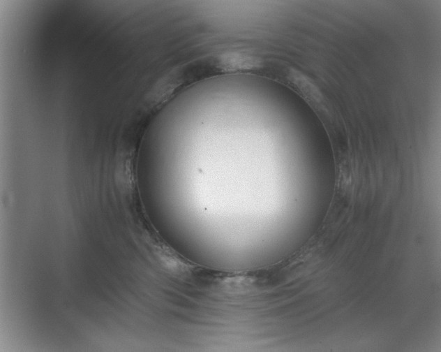 X0000071780426200607071435