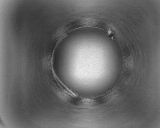 X0000071780429200607071434