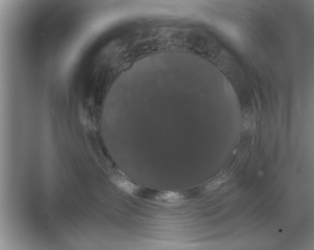 X0000071780431200607071434