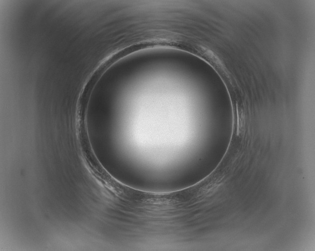 X0000071780435200607071434