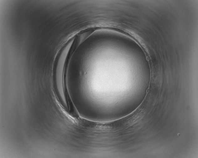 X0000071780437200607071434