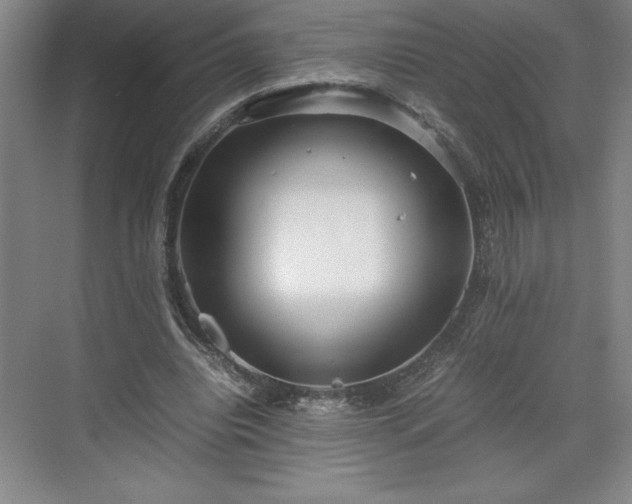 X0000071780440200607071434