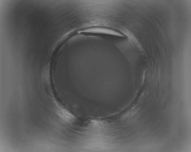 X0000071780442200607071434