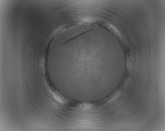 X0000071780444200607071434