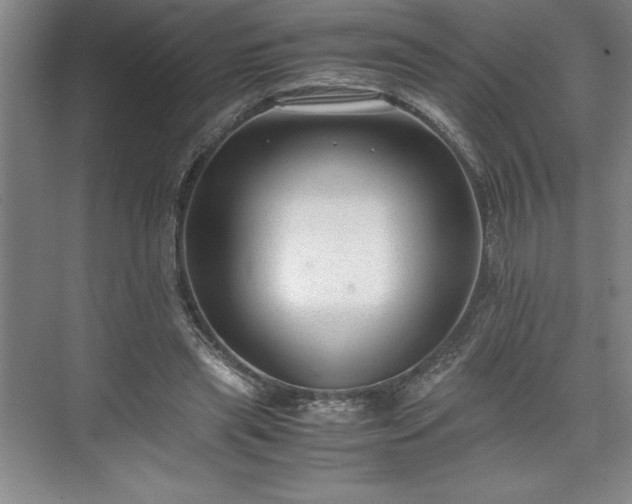 X0000071780445200607071434