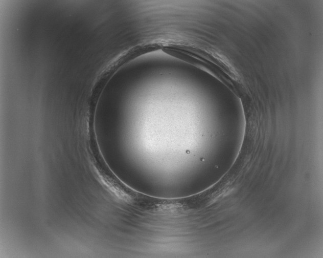 X0000071780446200607071434