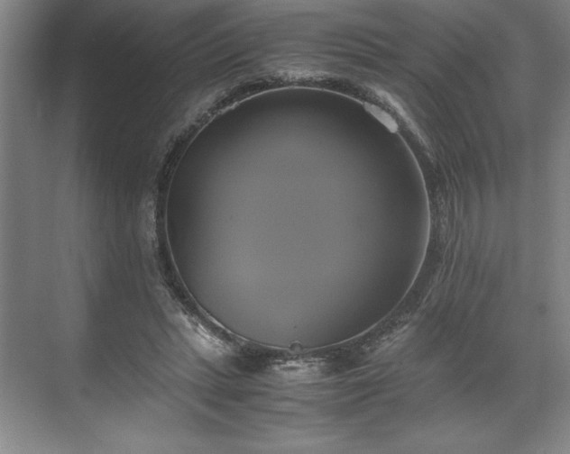 X0000071780447200607071434