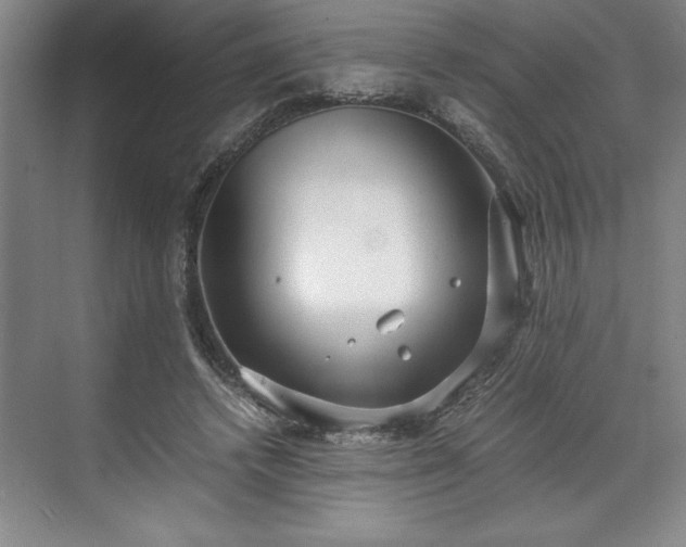 X0000071780448200607071434