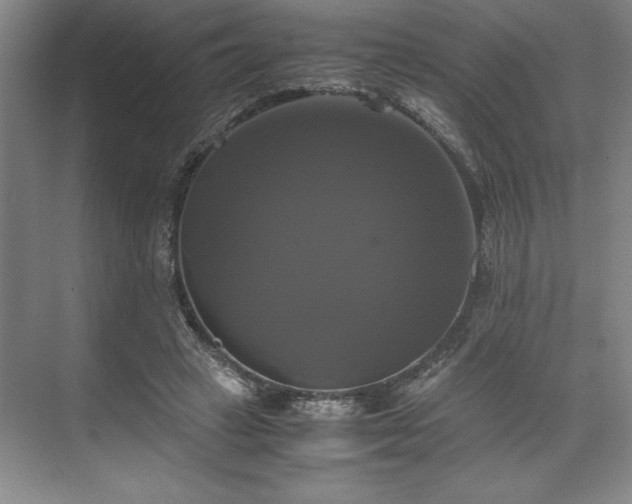 X0000071780449200607071434