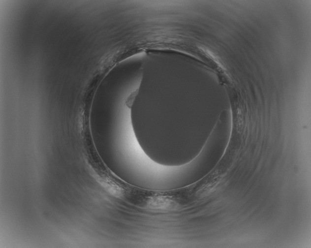 X0000071780451200607071434