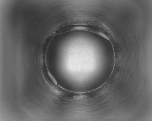 X0000071780452200607071434