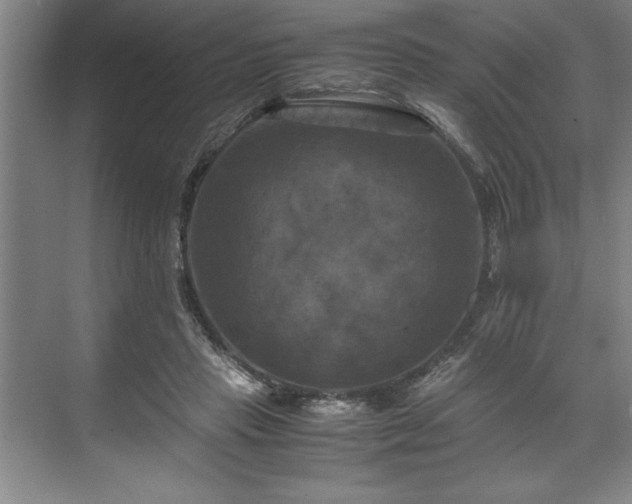 X0000071780453200607071434