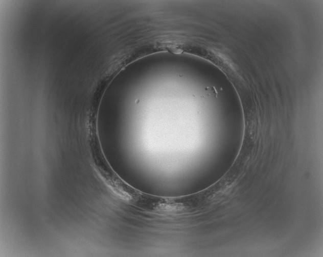 X0000071780455200607071434