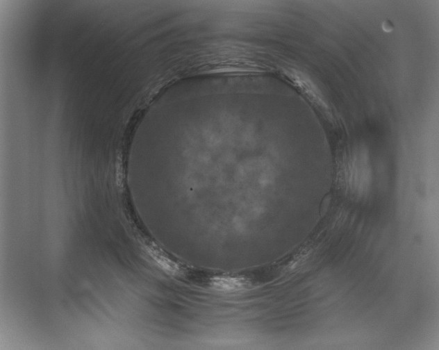 X0000071780457200607071434