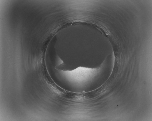 X0000071780458200607071434