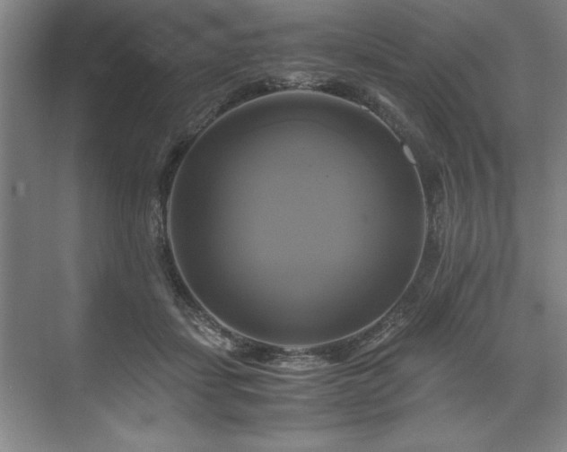 X0000071780459200607071434