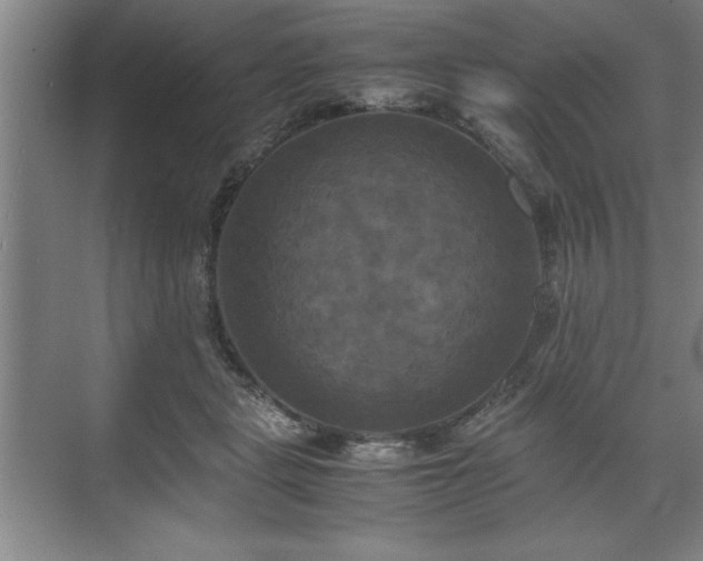 X0000071780461200607071434